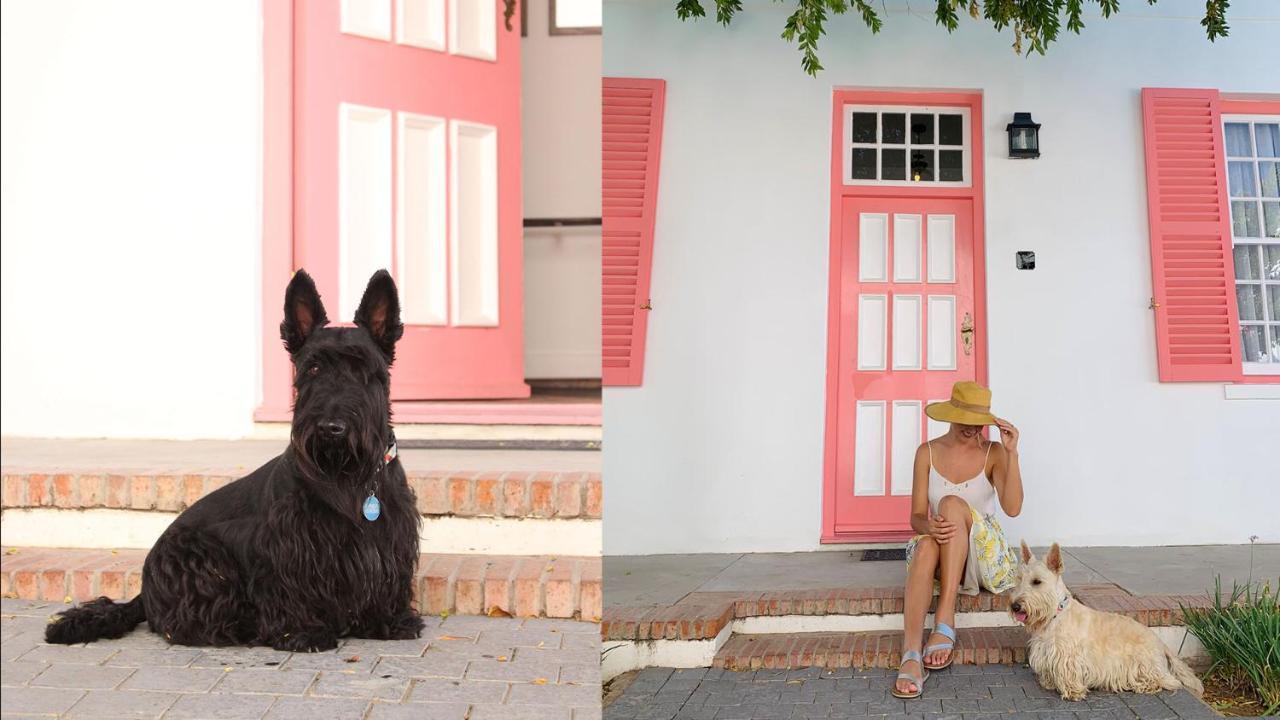 ドロスディー ホテル Graaff-Reinet エクステリア 写真 Scottie dogs