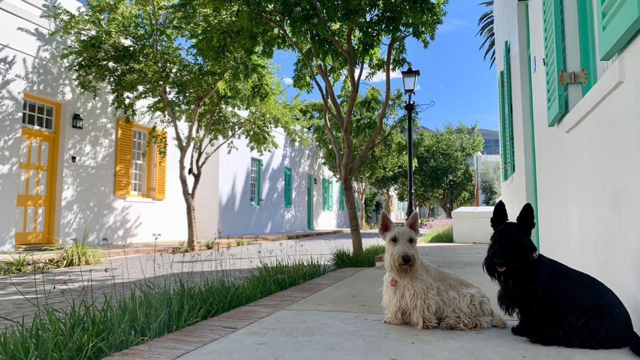 ドロスディー ホテル Graaff-Reinet エクステリア 写真 Two West Highland White Terriers